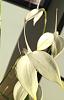 Masdevallia black spot on petal-orichid-jpg