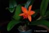 DSC_0031-4.JPG