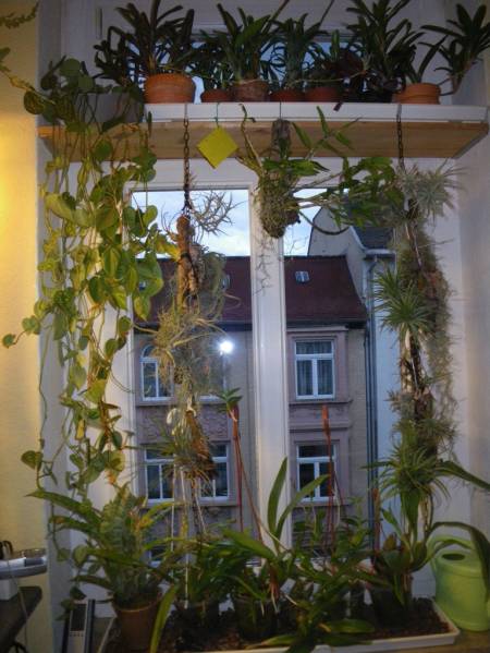 Indoor