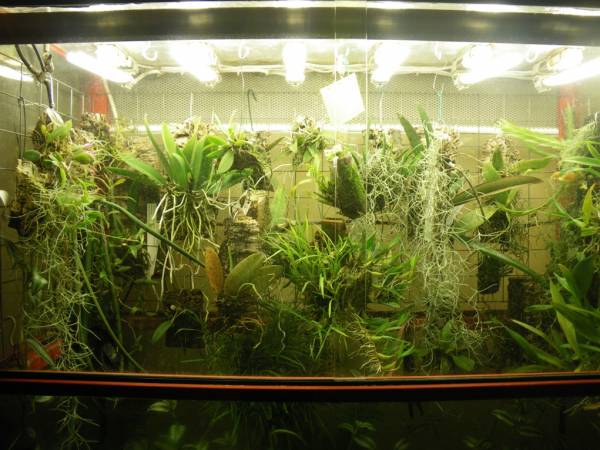 Indoor