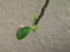 100_0691_Small_.jpg