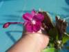 100_0700_Small_.jpg
