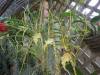 2012-06-09_003_014_800x600_.jpg