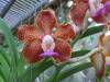 2012-07-16_001_011_800x600_.jpg