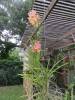 2012-08-03_001_001_600x800_.jpg