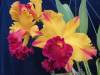 2012-09-23_002_009_800x600_.jpg