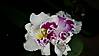 20150110_073515.jpg