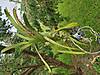 20201028_122758_1_.jpg