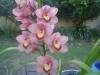 DSC00143.JPG