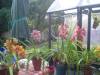 DSC00150.JPG