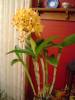 DSC00194.JPG
