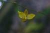 DSC05348.JPG