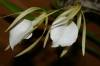 DSC05488.JPG