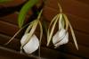 DSC05494.JPG