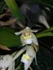 DSCN3717.JPG