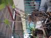 IMG_0288_Medium_.JPG