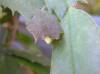 PB060100.JPG