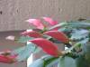 PC080118.JPG