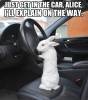 white_rabbit_get_in_the_car_alice.jpg