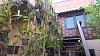 Orchid staircase-20160210_170103-jpg