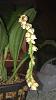 What's blooming-img_6033-jpg