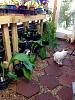 3 views from my chair-fullsizerender-4-jpg