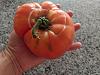 I think I have a new favorite tomato-pxl_20210829_223050428-jpg