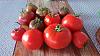 I think I have a new favorite tomato-2048-1152-2-jpg