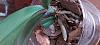 Phalaenopsis stunted growth-20221224_101358-jpg