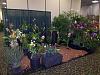 Pictures added: Tampa Bay Orchid Society Annual Show and Sale-100_9897-jpg