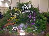 Pictures added: Tampa Bay Orchid Society Annual Show and Sale-100_9899-jpg