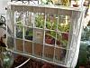 My Makeshift Mini Greenhouse-dscn6356-jpg