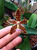 Ryan's Phals-imageuploadedbytapatalk1337660396-641521-jpg