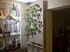 My aeroponic orchid wall-img-20130202-00084-jpg
