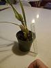 I don't even know the genus-air_20130219_00002-jpg