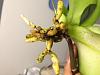 Dying Phal! Hardly any roots-phal-1-jpg